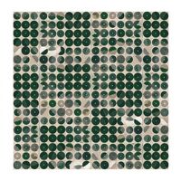 The Tangent - Evolutionary Cycles vinyl cover