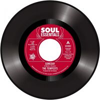 The Tempests - Someday / I Don't Want To Lose Her vinyl cover