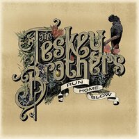 The Teskey Brothers - Run Home Slow vinyl cover