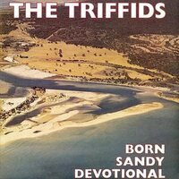 The Triffids - Born Sandy Devotional vinyl cover