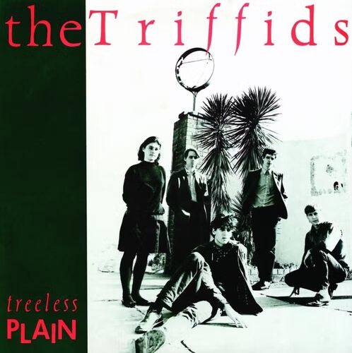 The Triffids - Treeless Plain (40th Anniversary) vinyl cover