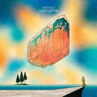 The Triptides - Shapeshifter vinyl cover