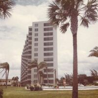 The Triptides - Sun Pavillion vinyl cover