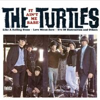 The Turtles - It Ain't Me Babe vinyl cover