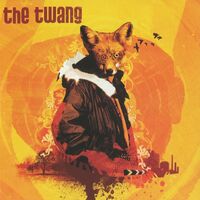 The Twang - It Feels Like vinyl cover