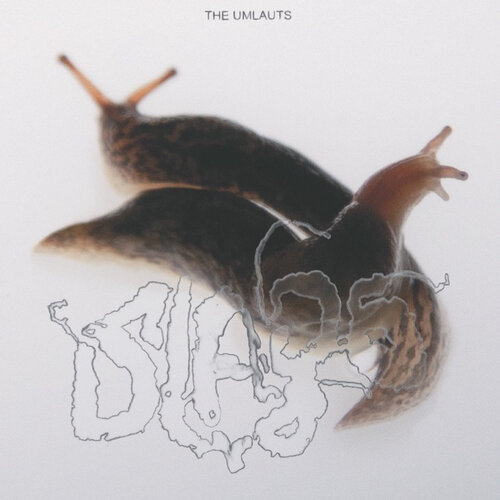 The Umlauts - Slags vinyl cover