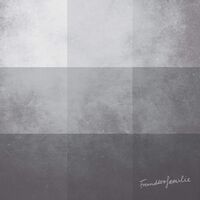 The Unknown - Grau 1 vinyl cover