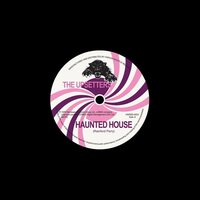 The Upsetters - Haunted House/double Wheel vinyl cover