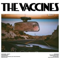 The Vaccines - PIck-Up Full Of Pink Carnations vinyl cover