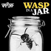 The Vapors - Wasp In A Jar vinyl cover