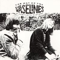The Vaselines - The Way of the Vaselines vinyl cover