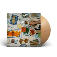 The Vices - Before It Might Be Gone (Eco Mix Orange) vinyl cover