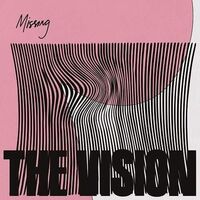 The Vision - Missing vinyl cover