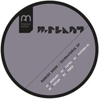 The Vision - Technatural Ep vinyl cover