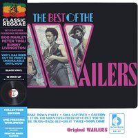 The Wailers - The Best of the Wailers vinyl cover