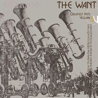 The Want - Greatest Hits Volume 5 vinyl cover