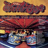 The Waterboys - Room To Roam Half Speed Master vinyl cover