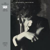 The Waterboys - This Is The Sea (Clear) vinyl cover