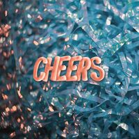 The Wild Reeds - Cheers vinyl cover