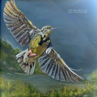 The Wildwoods - Dear Meadowlark vinyl cover