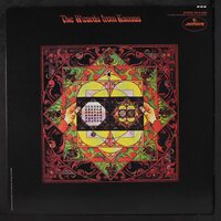 The Wizards from Kansas - Wizards From Kansas vinyl cover