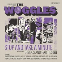 The Woggles - Stop And Take A Minute vinyl cover