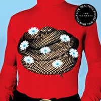 The Wombats - Beautiful People Will Ruin Your Life vinyl cover