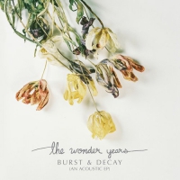 The Wonder Years - Burst & Decay vinyl cover