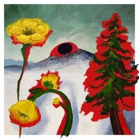 The Woods - Strange To Explain vinyl cover