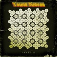 The Young Knives - Landfill (Dirty Yellow) vinyl cover