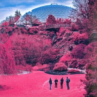 The Zolas - Swooner vinyl cover