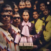 Thee Marloes - Di Hotel Malibu vinyl cover