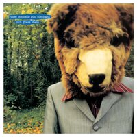 Thee Michelle Gun Elephant - Cult Grass Stars vinyl cover