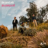 Thee Sacred Souls - Got A Story To Tell vinyl cover