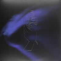 Them Are Us Too - Remain vinyl cover