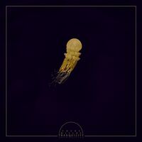 There Will Be Tranquility - There Will Be Tranquility vinyl cover