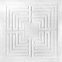 These New Puritans - Hidden vinyl cover