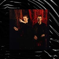 These New Puritans - Inside The Rose vinyl cover