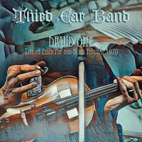 Third Ear Band - Druid One: Live At Essen Pop & Blues Festival 1970 vinyl cover