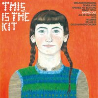 This Is the Kit - Bashed Out Eco vinyl cover