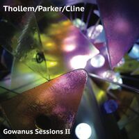 Thollem  /  Parker  /  Cline - Gowanus Sessions II vinyl cover