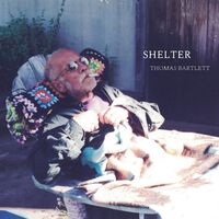 Thomas Bartlett - Shelter vinyl cover