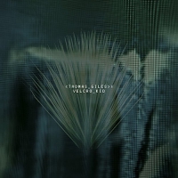 Thomas Giles - Velcro Kid Transparent Green vinyl cover