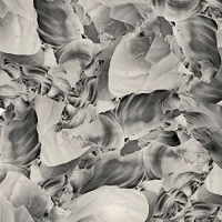 Thrupence - Ideas Of Aesthetics vinyl cover