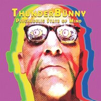 ThunderBünny - Psychedelic State of Mind vinyl cover