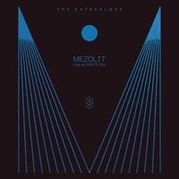 Thy Catafalque - Mezolit - Live At Fekete Zaj vinyl cover