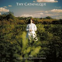 Thy Catafalque - XII: A Gyönyörü Álmok Ezután Jönnek vinyl cover