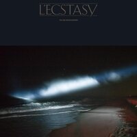 Tiga & Hudson Mohawke - L'Ecstasy vinyl cover