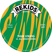 Tiger Stripes - All Night Long vinyl cover