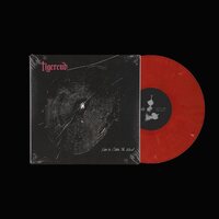 Tigercub - Nets to Catch the Wind vinyl cover